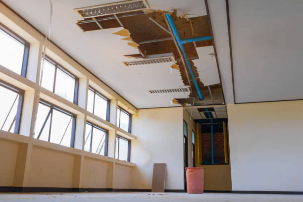 Best Basement water damage restoration  in Stateburg, SC