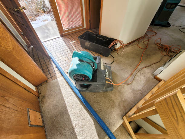 Best Flooded house restoration  in Stateburg, SC