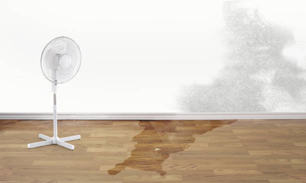 24/7 water damage repair in SC