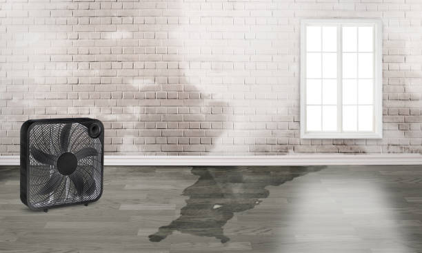 Best Sewage cleanup and water damage restoration  in Stateburg, SC